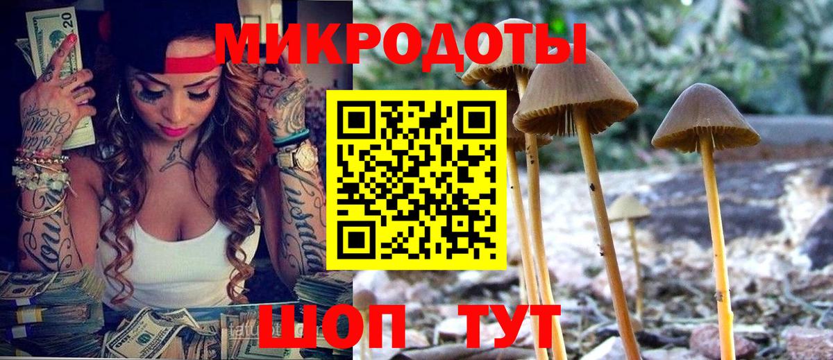 Галлюциногенные грибы Magic Shrooms Сокол